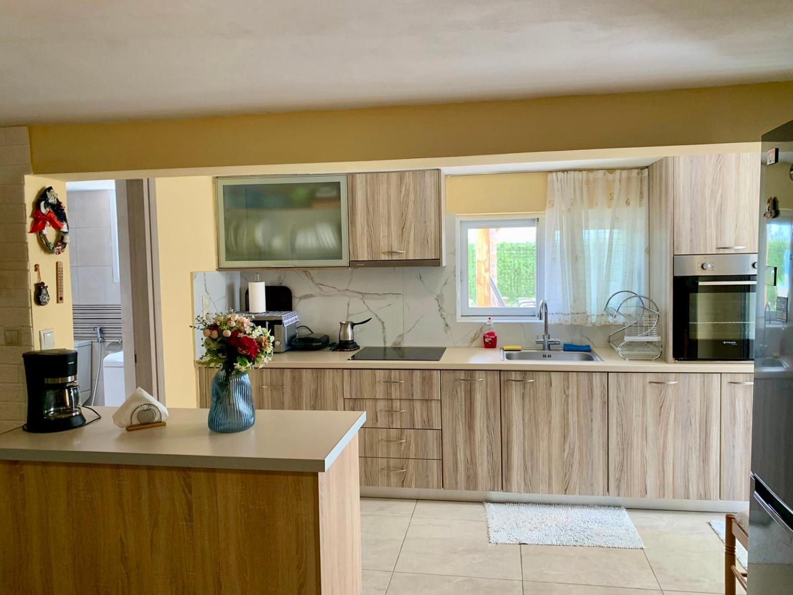Sofia'S Seaview Villa Near Airport And Beach 阿特米达 外观 照片