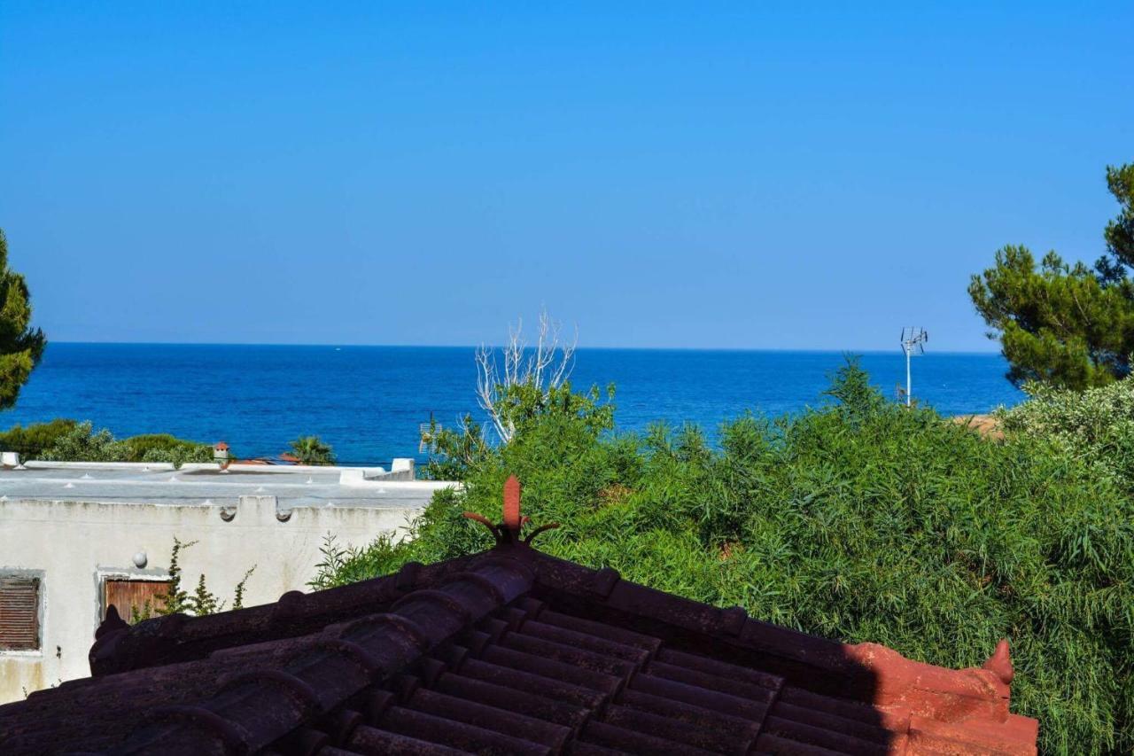 Sofia'S Seaview Villa Near Airport And Beach 阿特米达 外观 照片