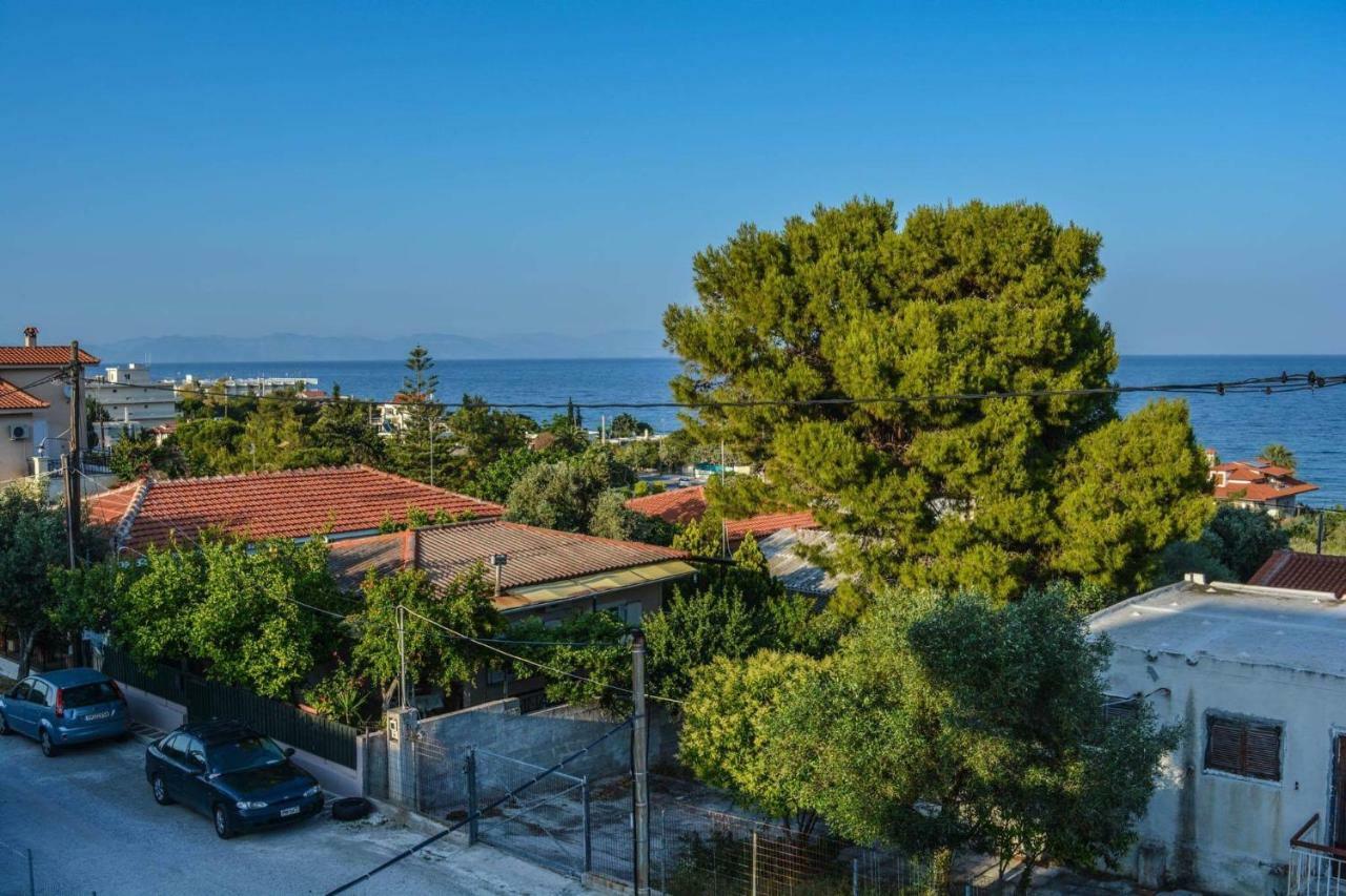 Sofia'S Seaview Villa Near Airport And Beach 阿特米达 外观 照片